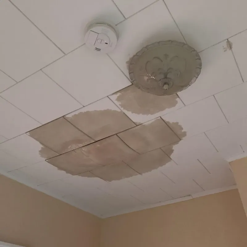 Ceiling Water Damage Repair in Terra Alta, WV
