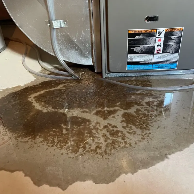 Pipe Burst and Leak Restoration in Terra Alta, WV