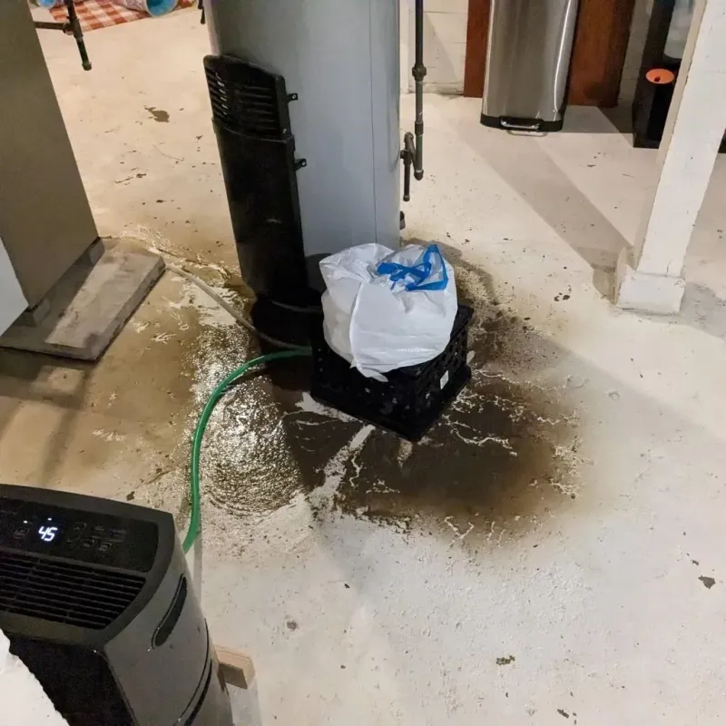 Sewage Backup Cleanup Service in Terra Alta, WV